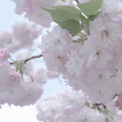 台山FurryQQ群介绍